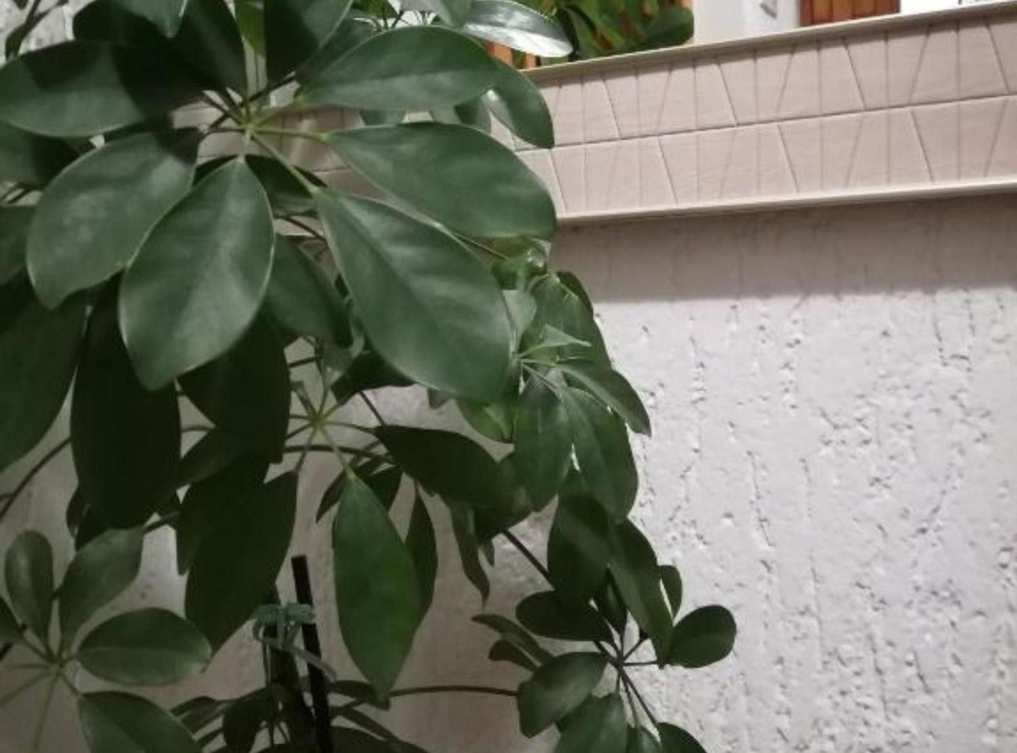 Apartman Olymp Osijek-Garaza Exterior foto